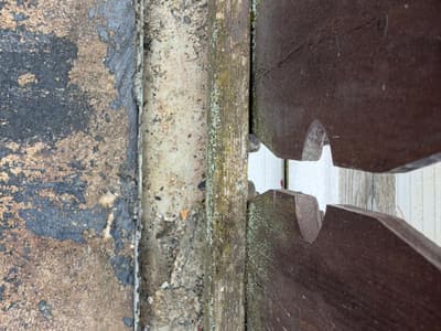 Referenzaufnahme Schadensanierung — Aufnahme 5 von 18